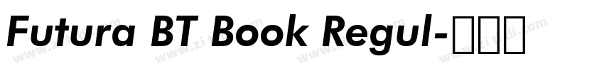 Futura BT Book Regul字体转换